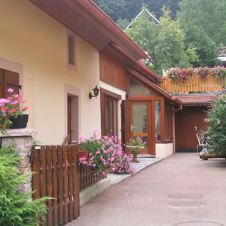 Les Gentianes Apartment Breitenbach-Haut-Rhin Exterior photo