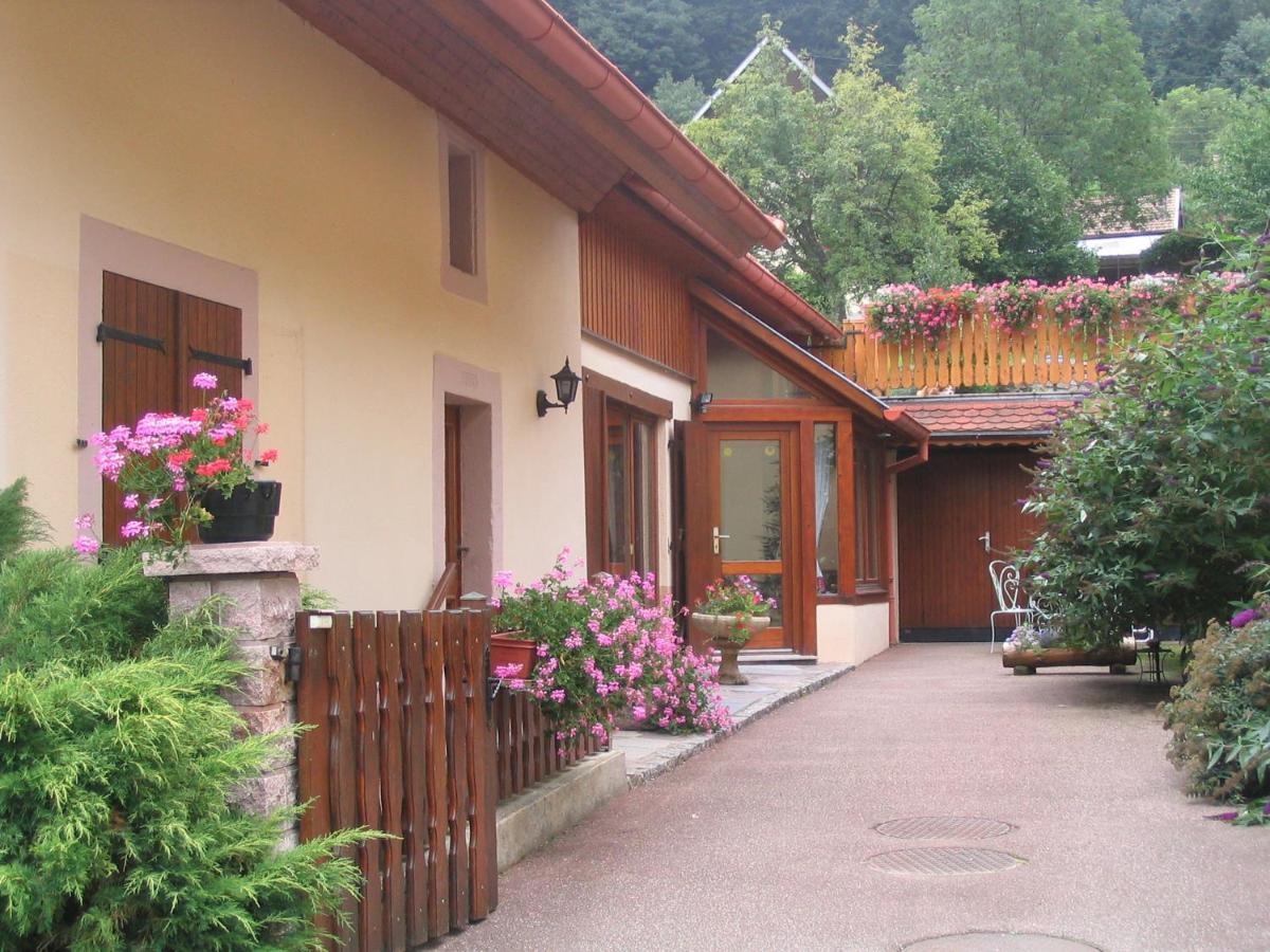 Les Gentianes Apartment
