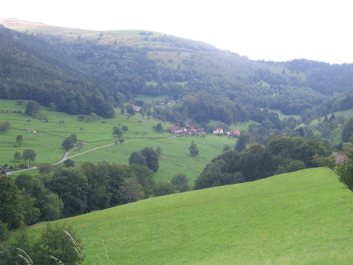 Les Gentianes Apartment Breitenbach-Haut-Rhin